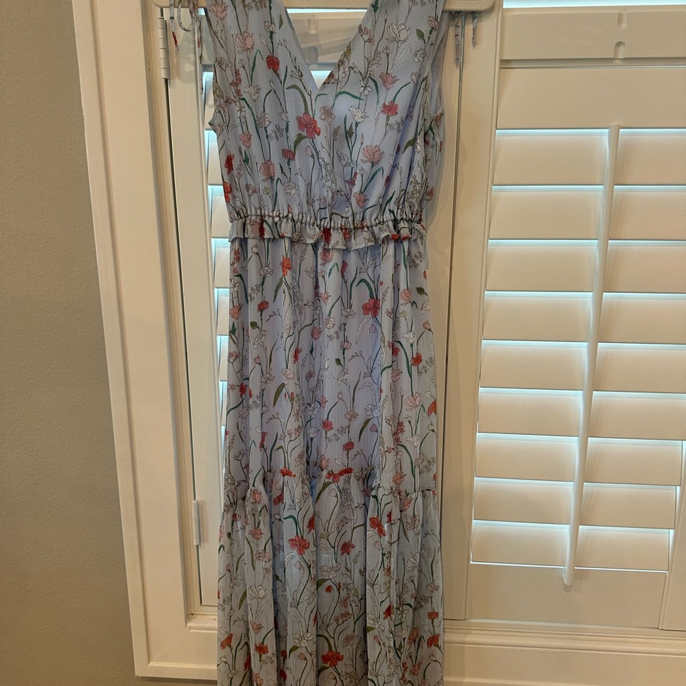 Banana Republic Light Blue and Red Floral Maxi Dress